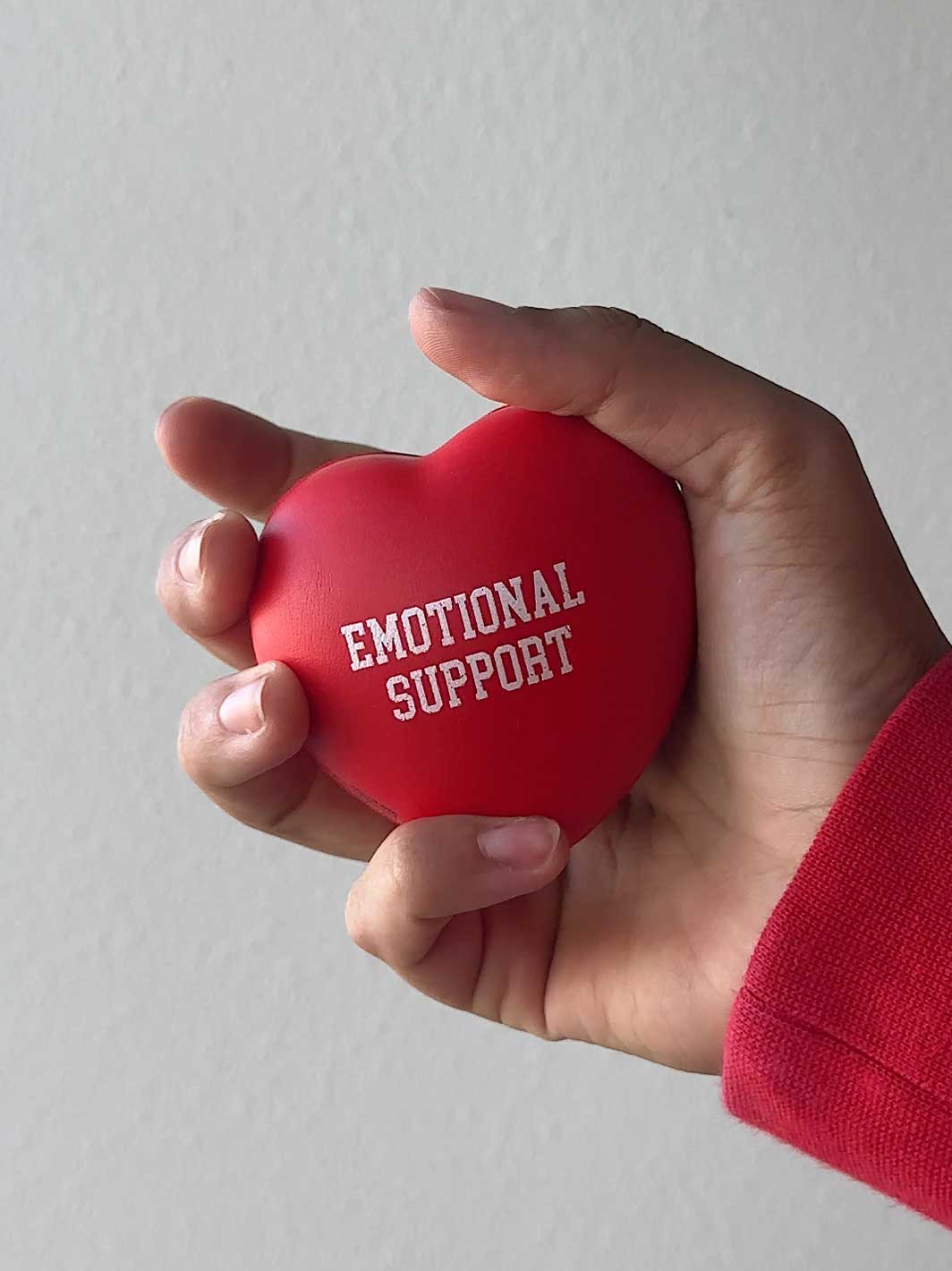 Emotional Support Heart Stress Ball